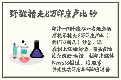 夜间正能量网站入口网址不用下载